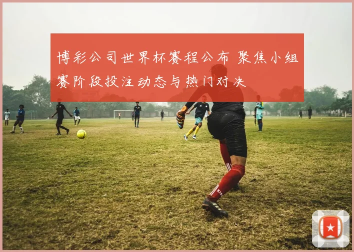 博彩公司世界杯赛程公布 聚焦小组赛阶段投注动态与热门对决