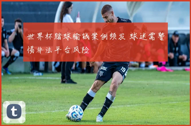 世界杯赌球输钱案例频发 球迷需警惕非法平台风险