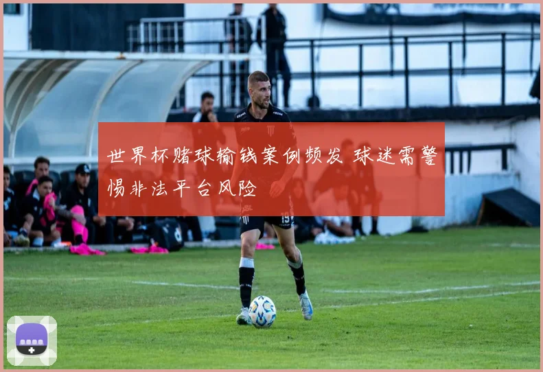 世界杯赌球输钱案例频发 球迷需警惕非法平台风险