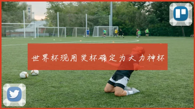 世界杯现用奖杯确定为大力神杯