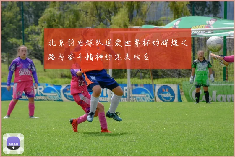 北京羽毛球队逆袭世界杯的辉煌之路与奋斗精神的完美结合
