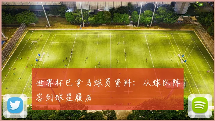 世界杯巴拿马球员资料：从球队阵容到球星履历