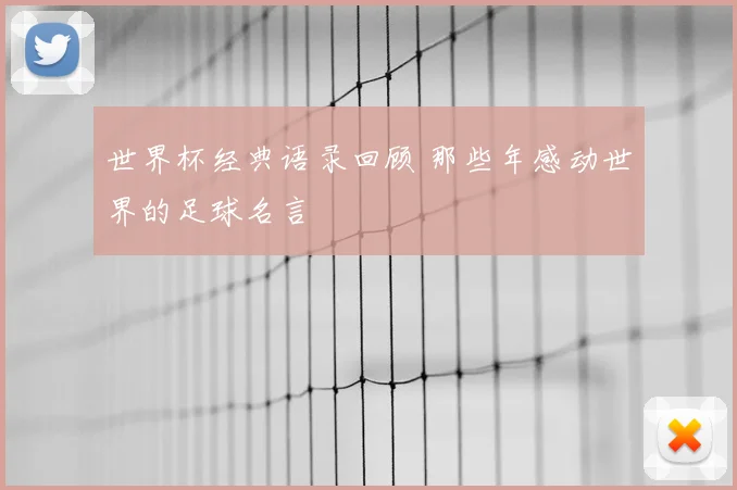 世界杯经典语录回顾 那些年感动世界的足球名言