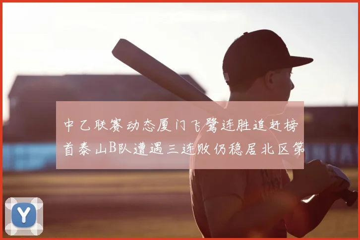 中乙联赛动态厦门飞鹭连胜追赶榜首泰山B队遭遇三连败仍稳居北区第三