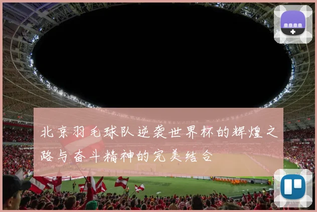 北京羽毛球队逆袭世界杯的辉煌之路与奋斗精神的完美结合